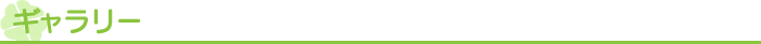 ギャラリー